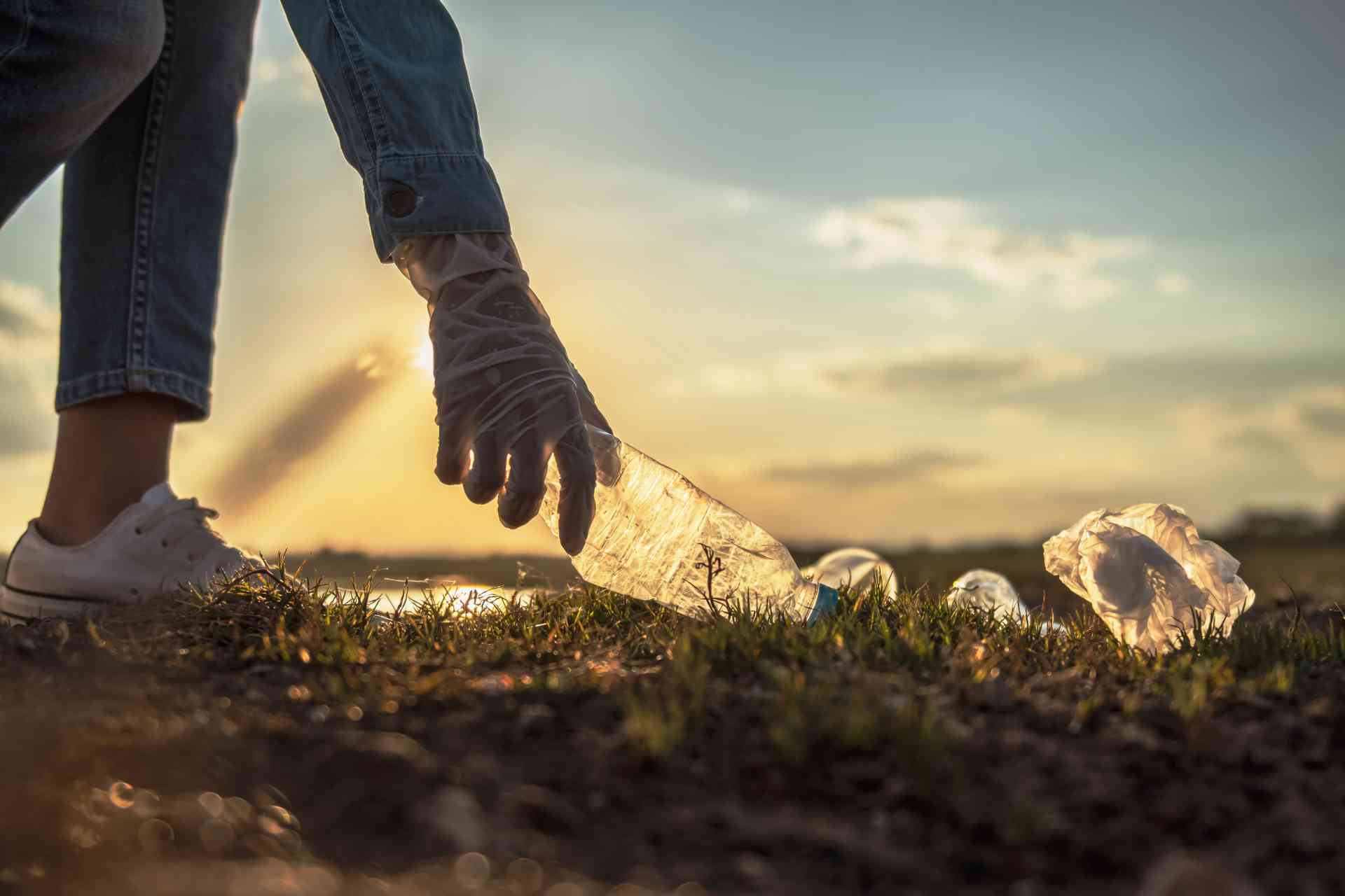 ecovio® T 2308: biopolímero para fabricação de embalagens descartáveis compostáveis.